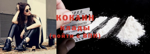 стаф Касимов