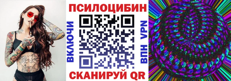 Псилоцибиновые грибы Psilocybe  блэк спрут ССЫЛКА  Елизово 
